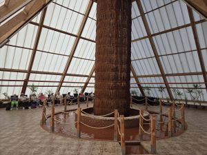 Wyjazd na basen geotermalny w Grudziądzu