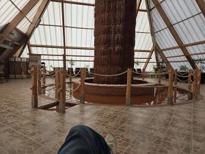 Wyjazd na basen geotermalny w Grudziądzu