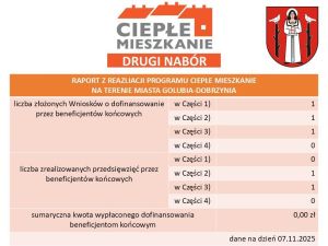 Raport z Realizacji  programu CIEPŁE MIESZKANIE na terenie miasta Golubia-Dobrzynia - stan na 07.11.2025 r.