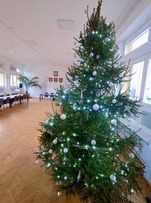 Choinka na sali nr 1