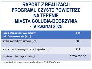 raport IV_2025_strona