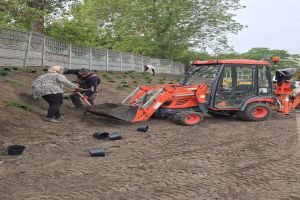 nowe nasadzenia Piaskowa Przystań