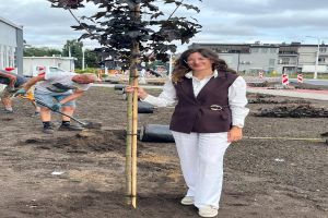 nasadzenia drzew ulica Konponickiej