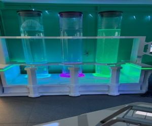 Warsztaty laboratorium Przyszłości