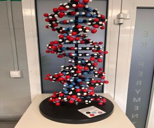 laboratorium w Poznaniu