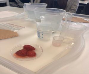 uczestniczki zajęć podczas doświadczenia