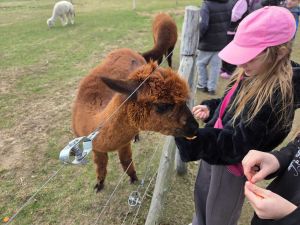 Integracyjny wyjazd młodzieży do Hola Alpaca