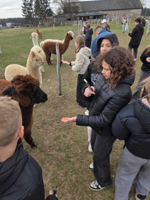 Integracyjny wyjazd młodzieży do Hola Alpaca