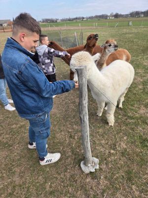 Integracyjny wyjazd młodzieży do Hola Alpaca