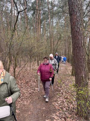 Pierwsze zajęcia nordic walking dla seniorów