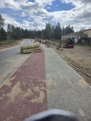 nasadzenia nowych drzew