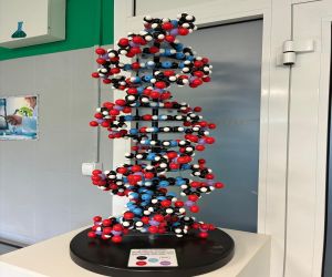 w Laboratorium Wyobraźni