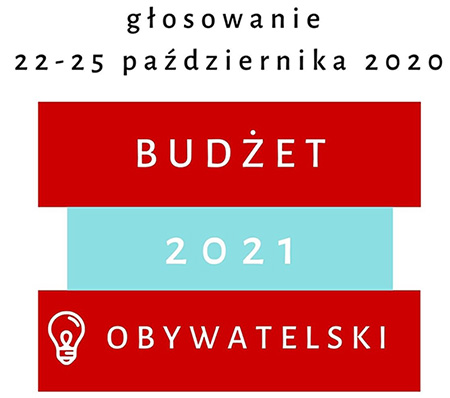 Budżet obywatelski 2021- zasady głosowania