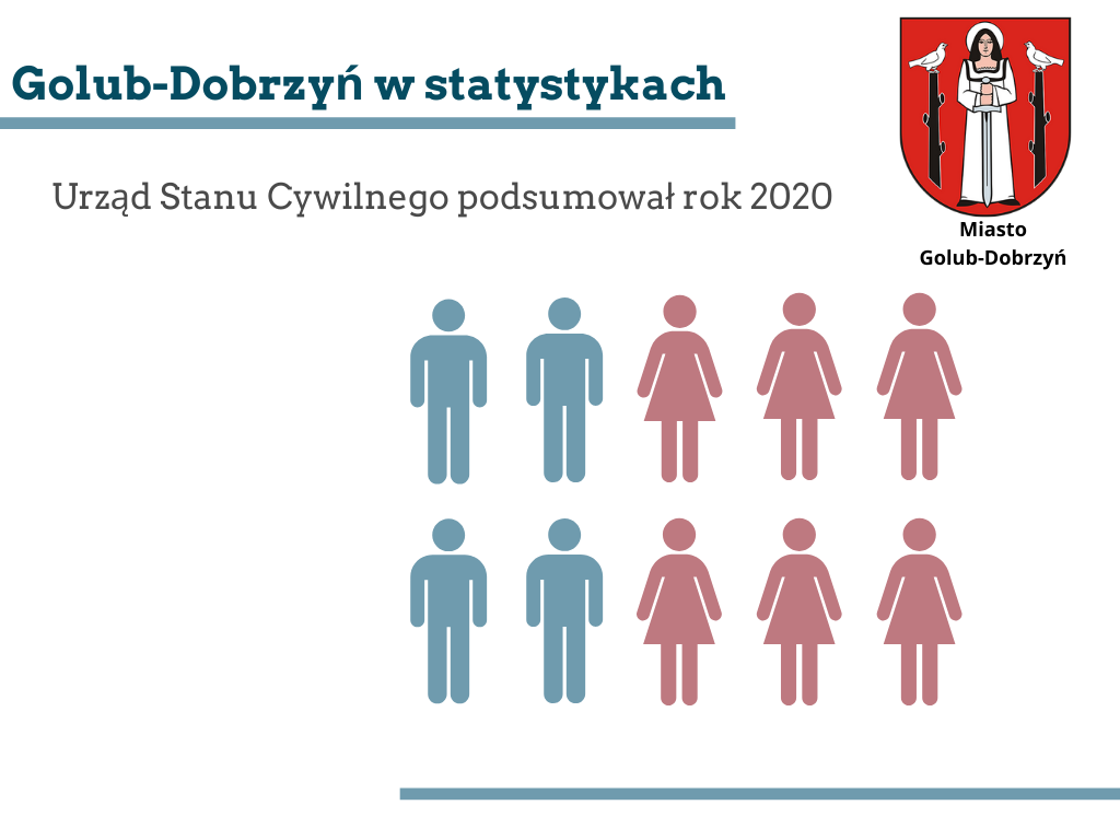 Golub-Dobrzyń w statystykach