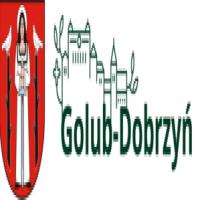 Ogłoszenie Burmistrza Miasta Golubia-Dobrzynia o wyłożeniu do publicznego wglądu projektu miejscowego planu zagospodarowania przestrzennego dla północnej części Starego Miasta Golubia