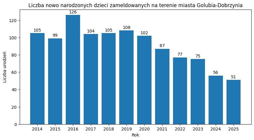 Podsumowanie roku 2025 liczba urodzeń dzieci ( zameldowań na terenie Miasta Golubiu-Dobrzynia)