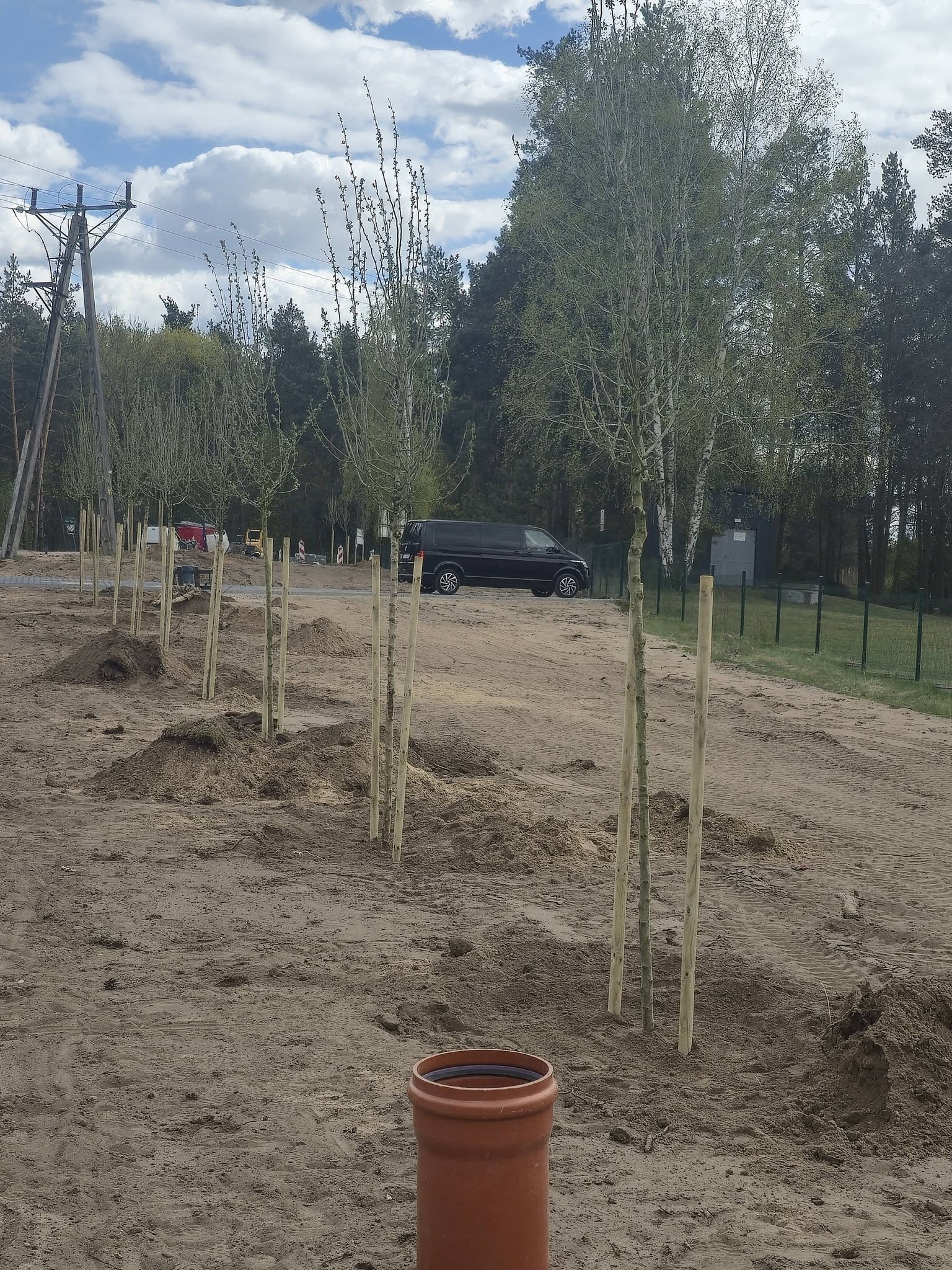84! Dokładnie 84 nowe drzewa właśnie błyskawicznie wyrastają na Osiedlu Panorama.